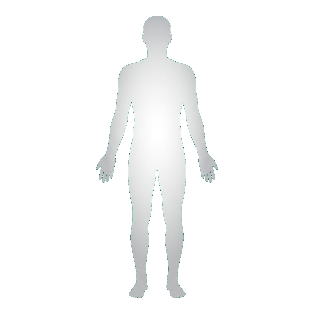 Body Silhouette Diagram